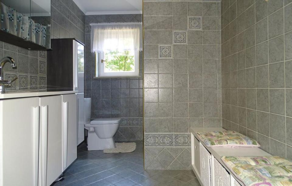 Apartmaji Cujez Recica ob Savinji Екстериор снимка